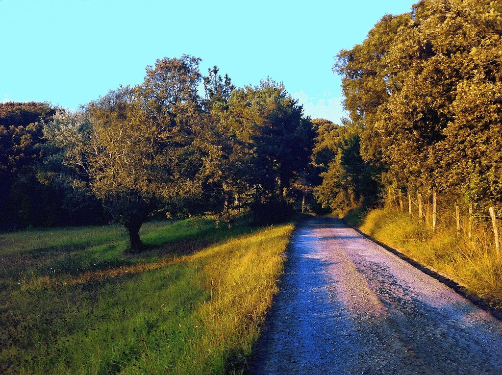 Landarte
